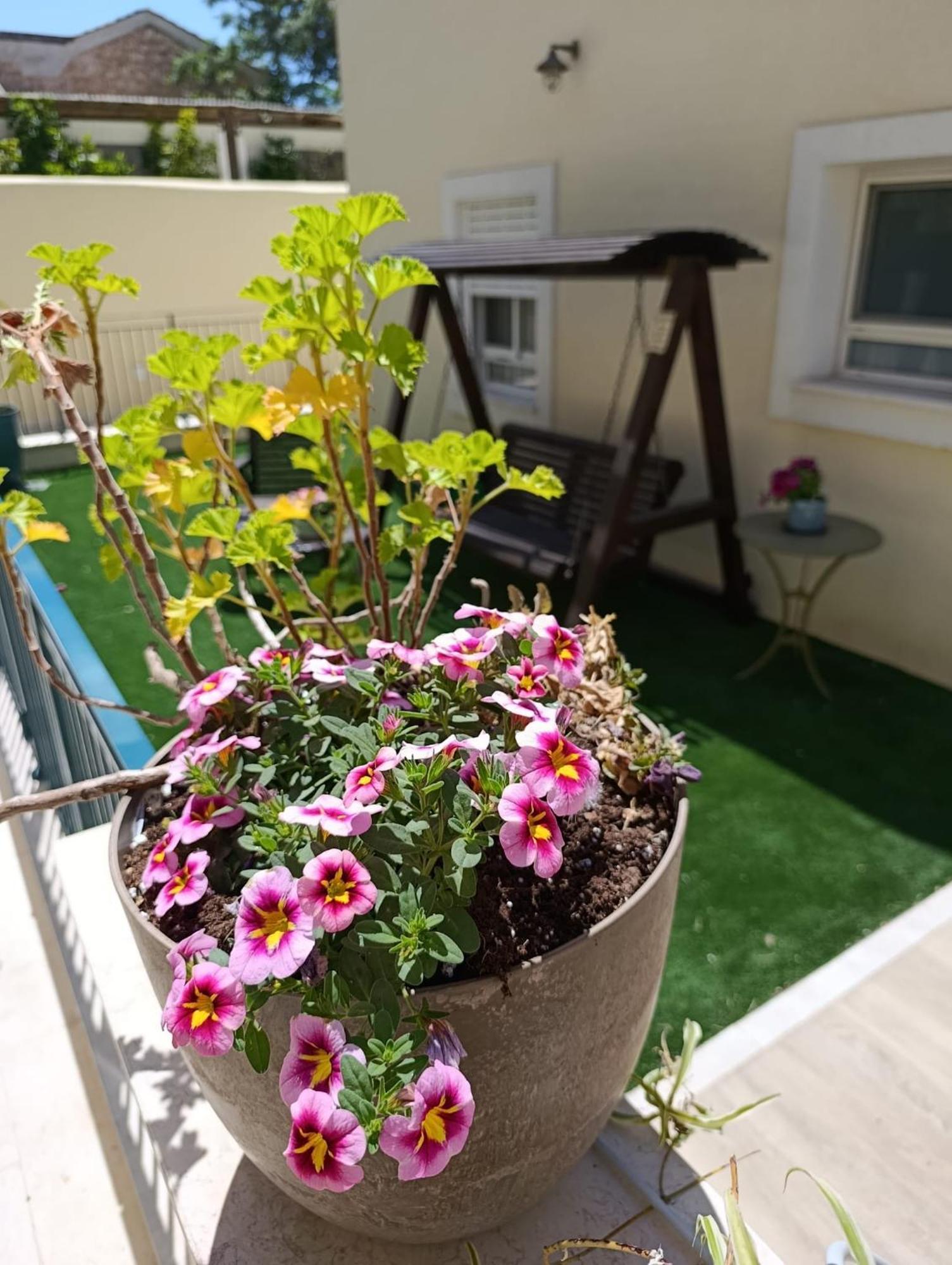 49 Boutique Villa Zikhron Ya'akov Rum bild